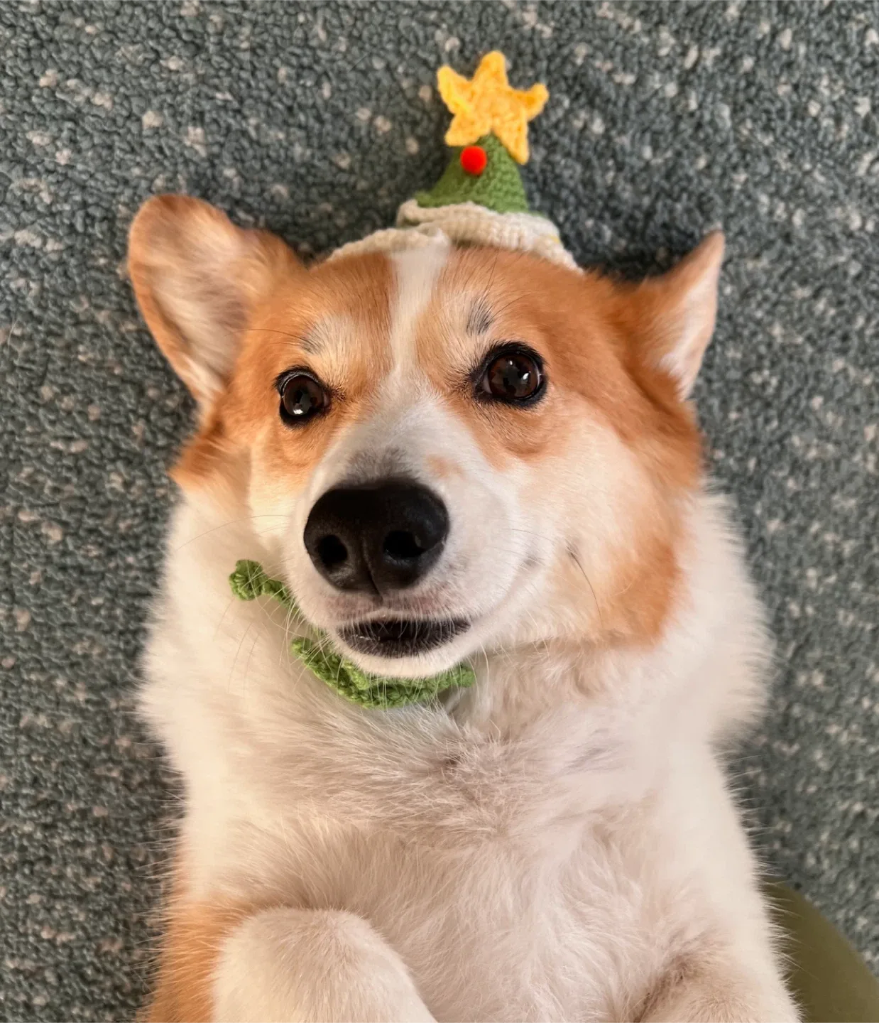 Crochet Christmas tree hat - Ready to go! image indicator(3)