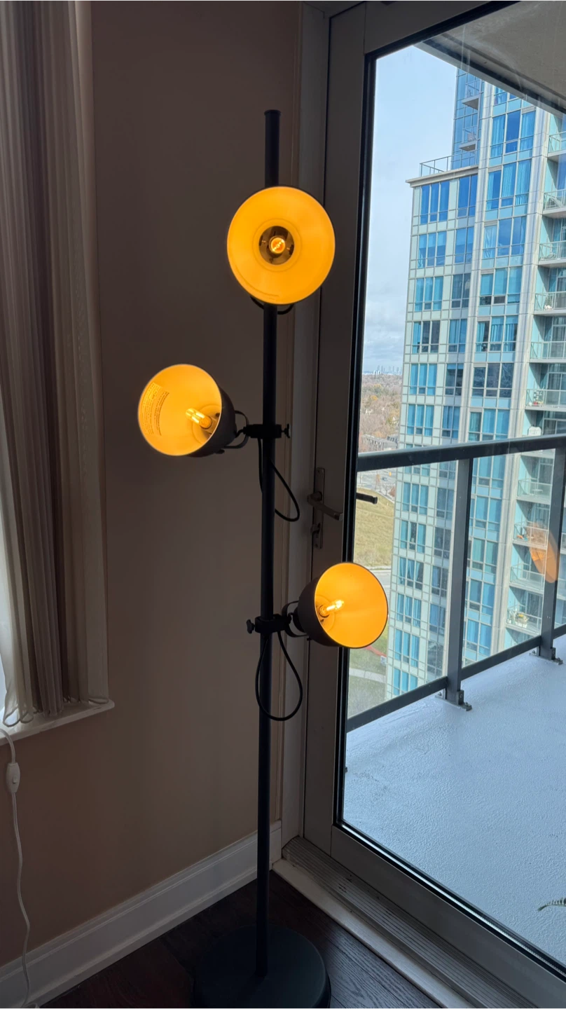 Black Floor Lamp with 3 Adjustable Lights