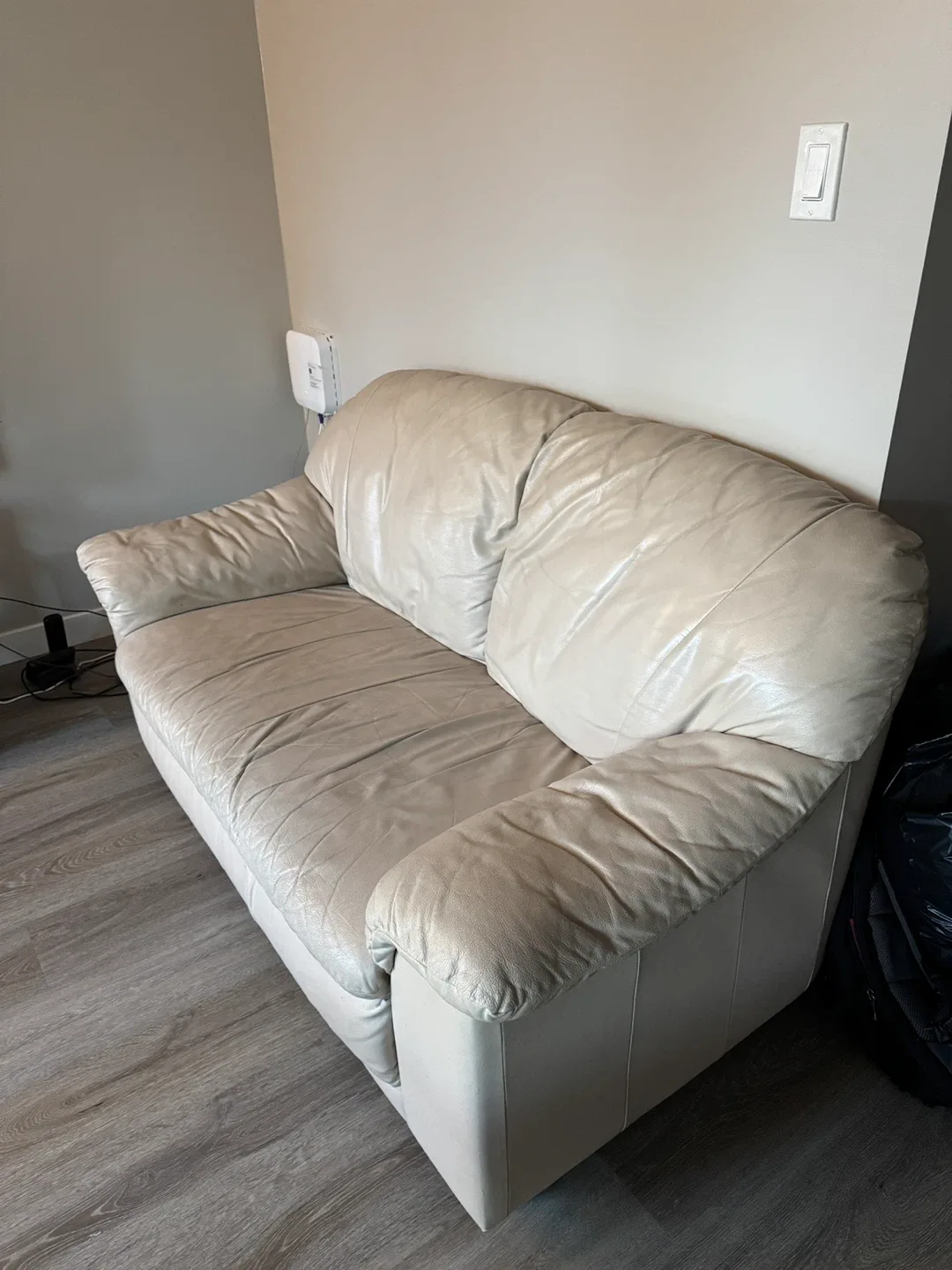 Cream Leather Loveseat and Armchair Set