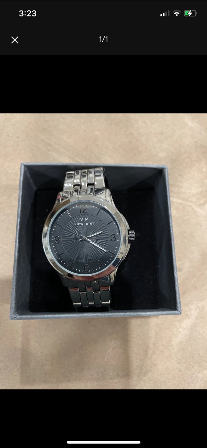 Viewpoint Silver Watch