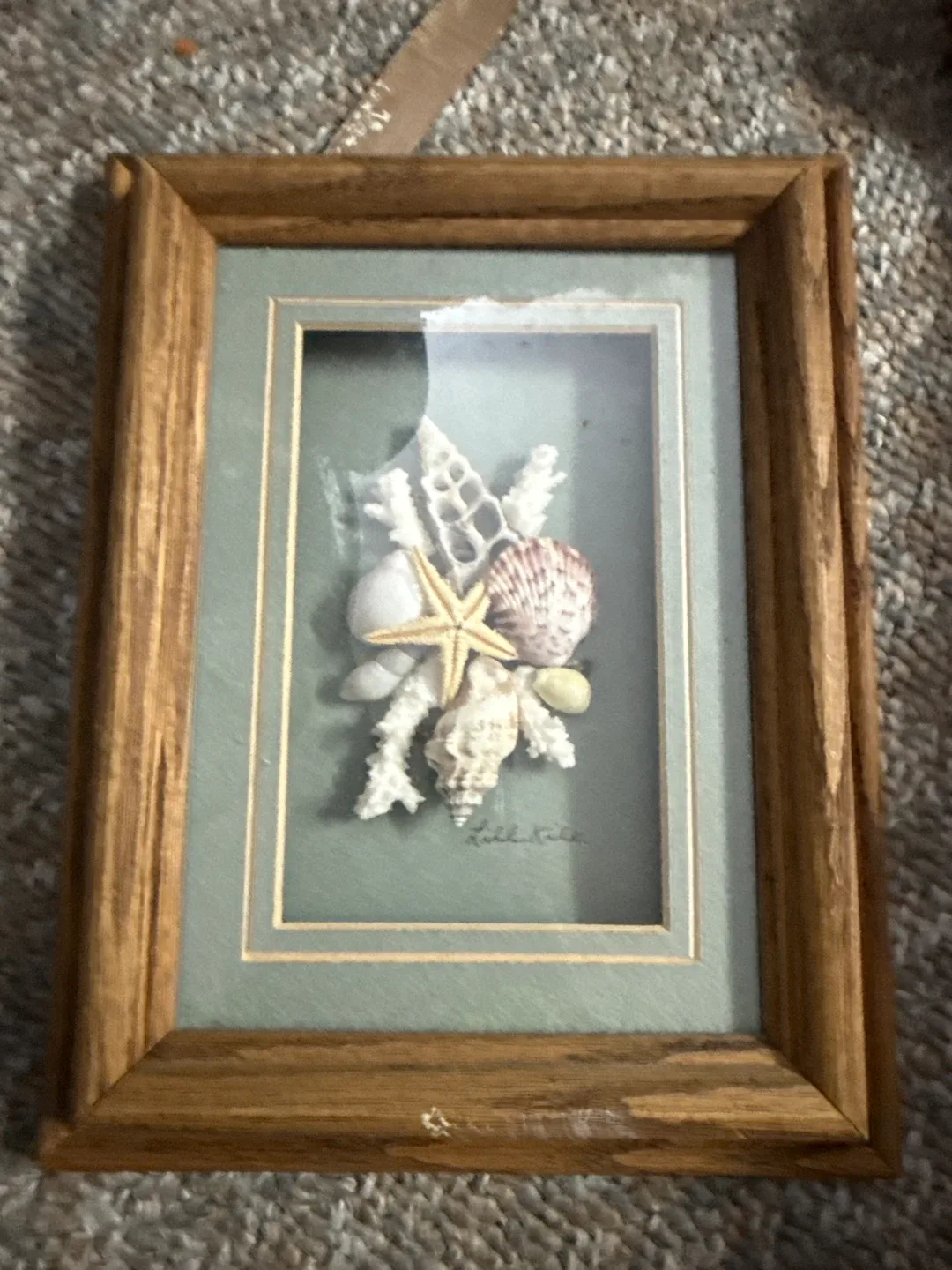 Framed Seashell Art