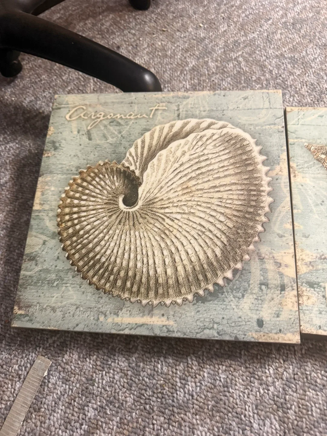 Seashell Wall Art - Set of 2 image indicator(3)