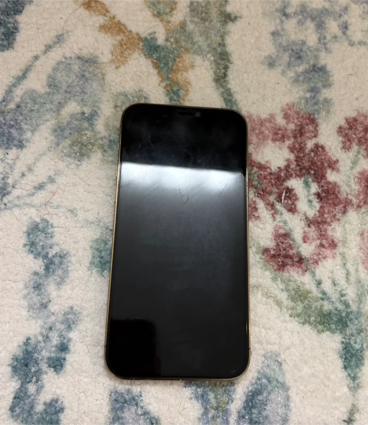 iPhone 12 Pro 256GB unlocked image indicator(2)