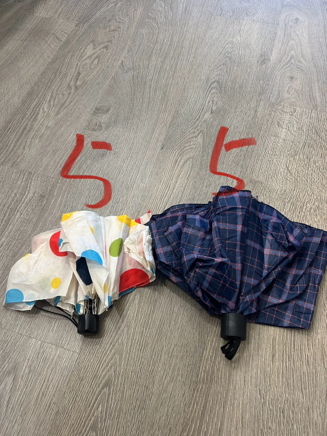 Two Umbrellas - Polka Dot & Plaid