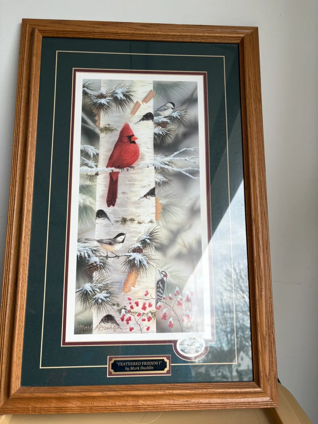 Feathered Friends I by Mark Dachlin Framed Print