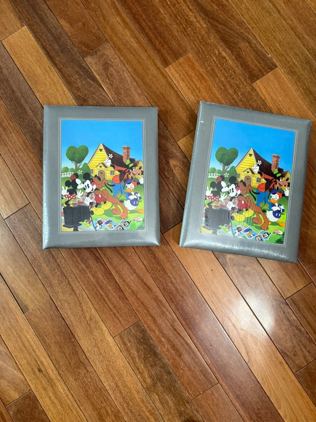 Disney Mickey Mouse photo albums