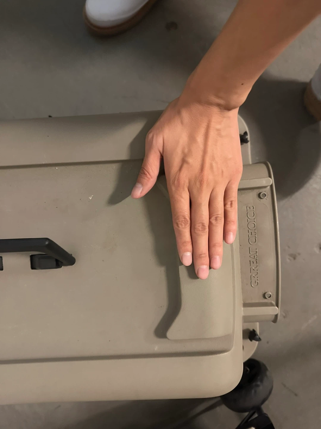 Large Pet Carrier - photo 4