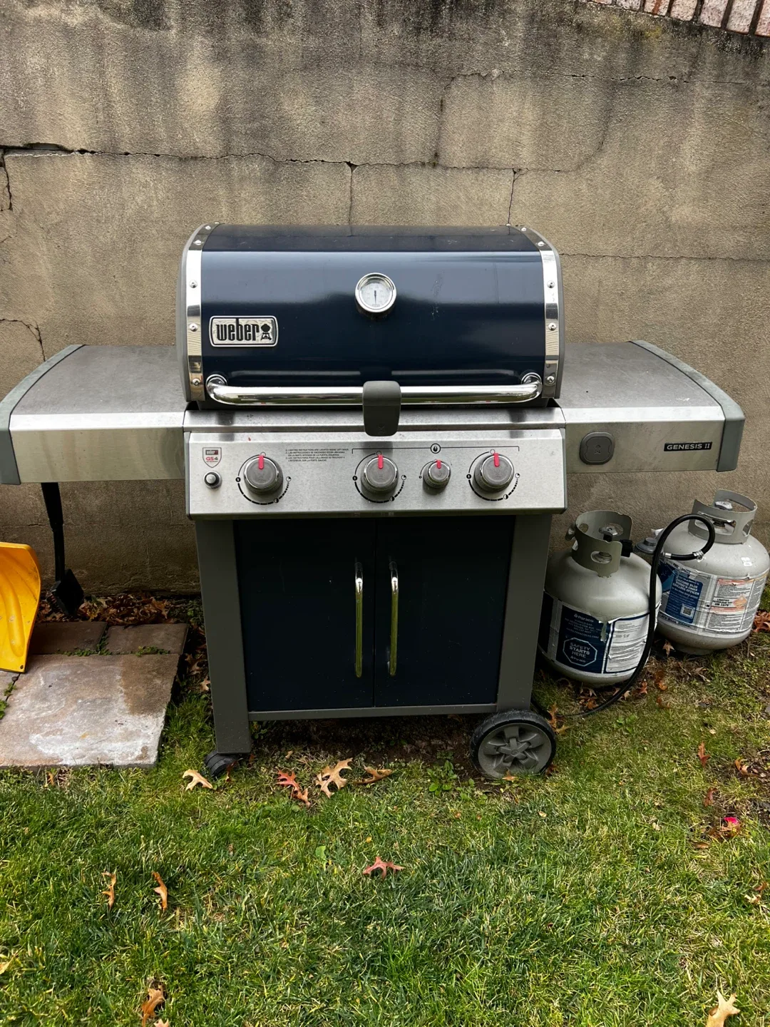 Weber Genesis II Gas Grill