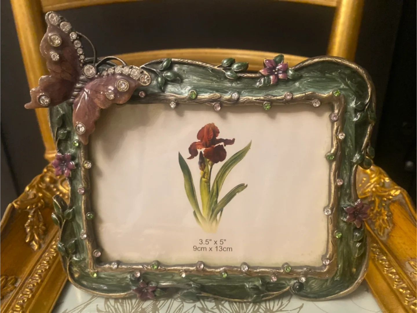 Butterfly Picture Frame 3.5"x5" image indicator(2)