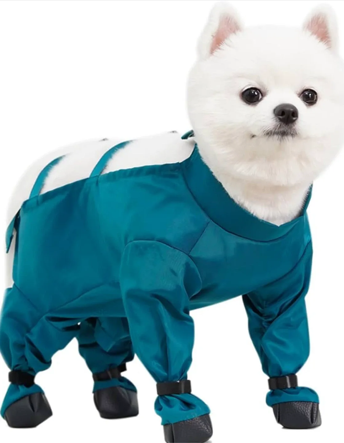 Dog snowsuit / boots suspender - Size S