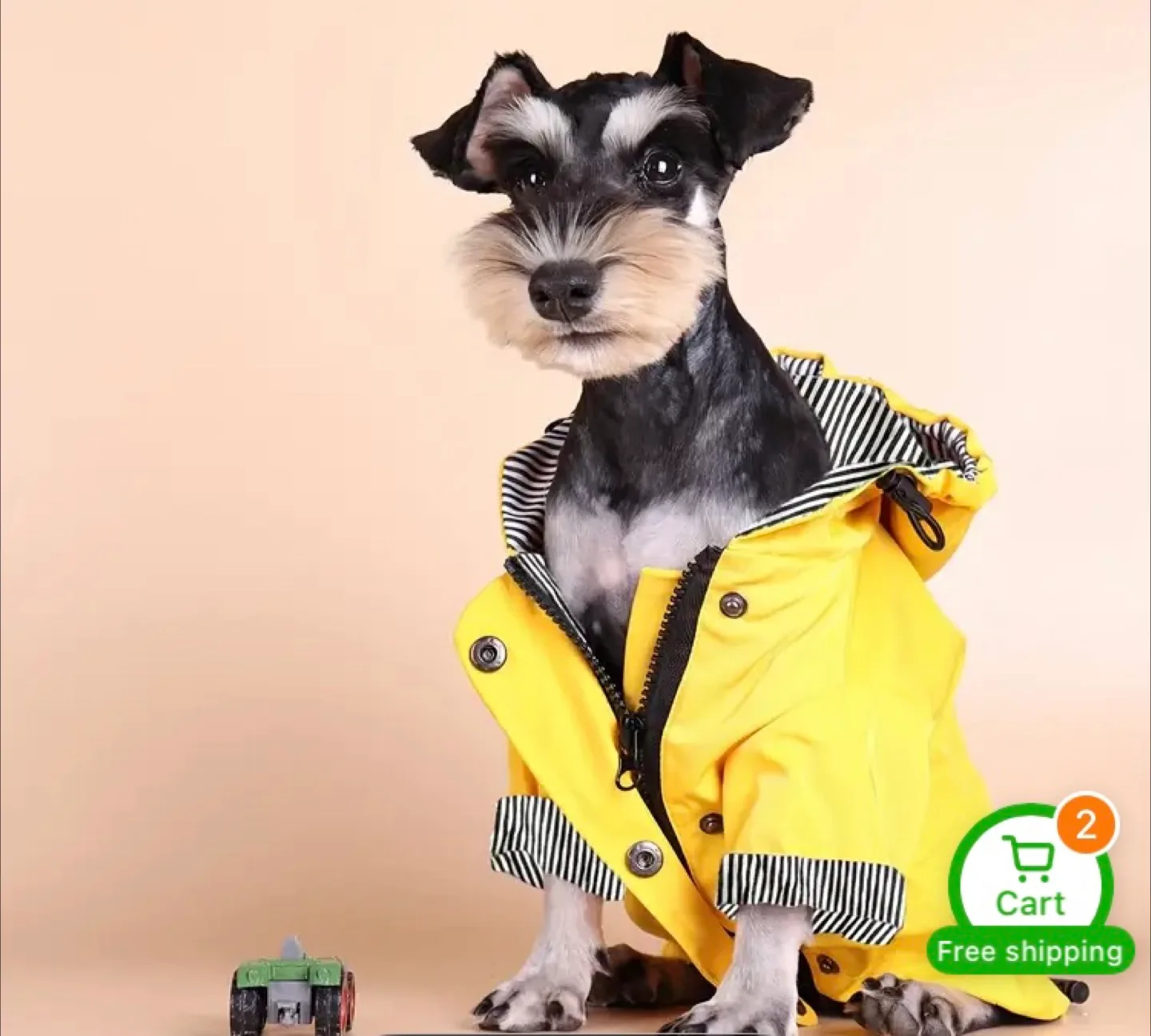 Yellow Dog Raincoat - Size XL