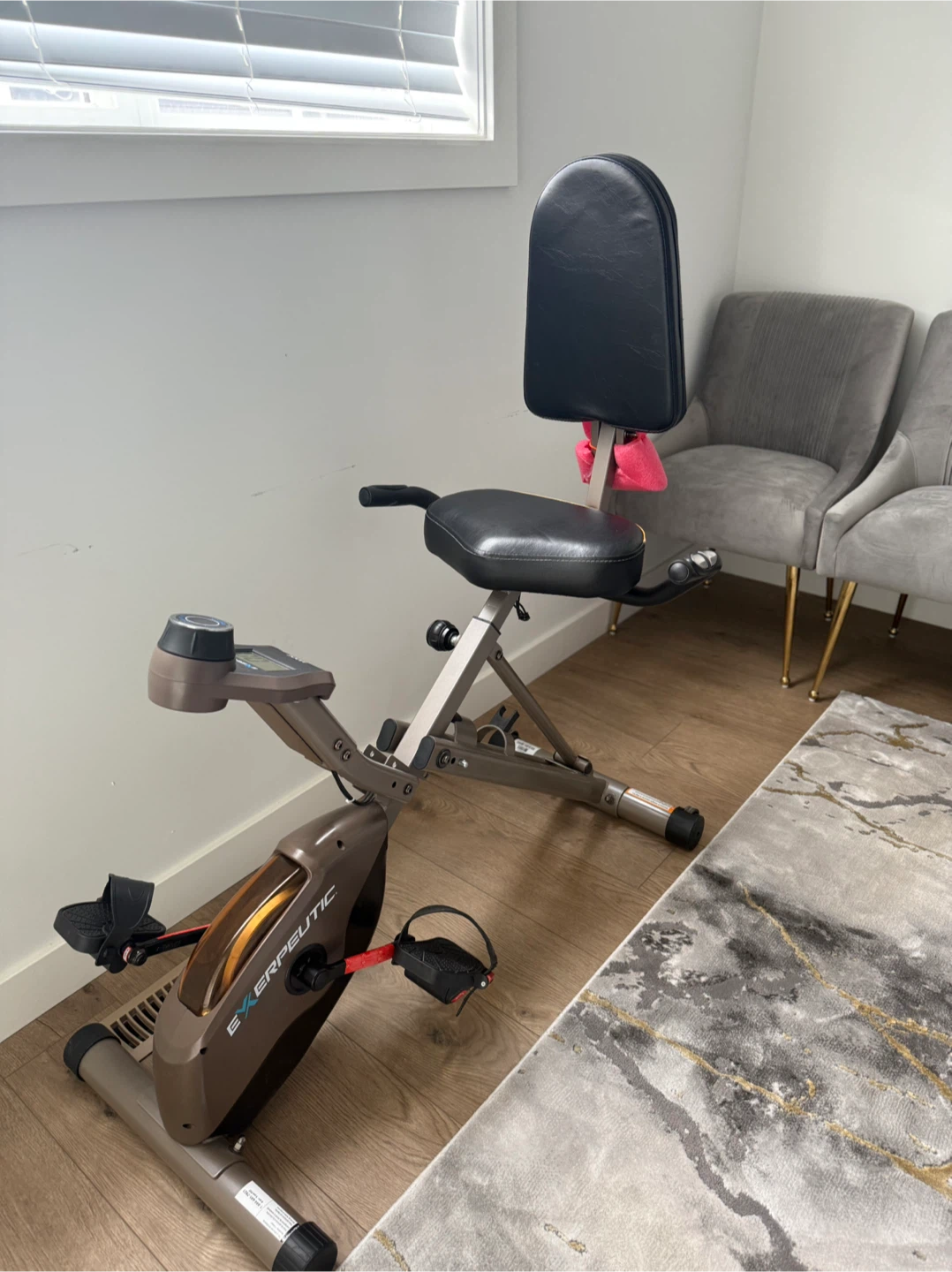 Exerpeutic Recumbent Exercise Bike - photo 5