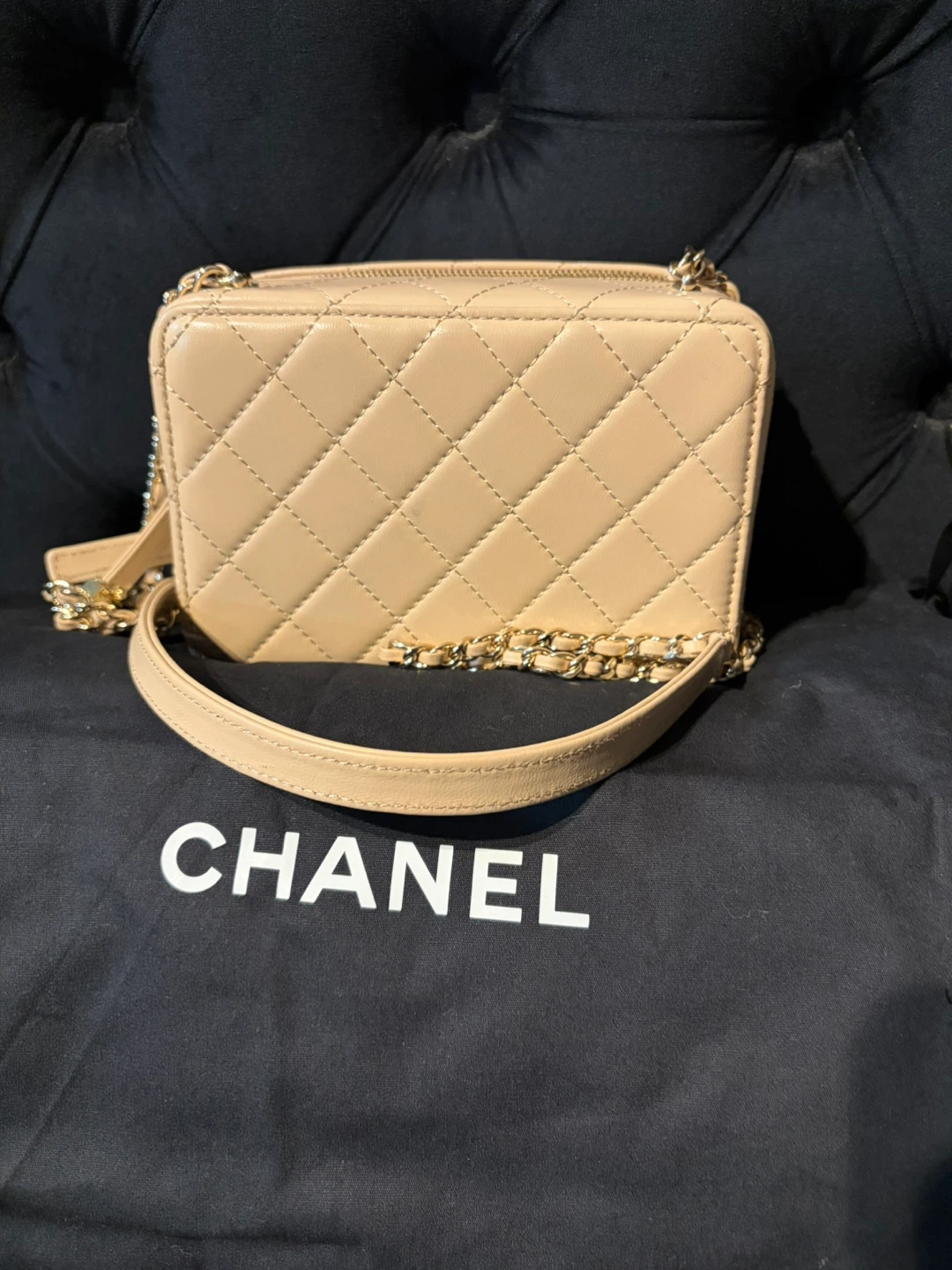 Chanel Camera Bag Beige - photo 3