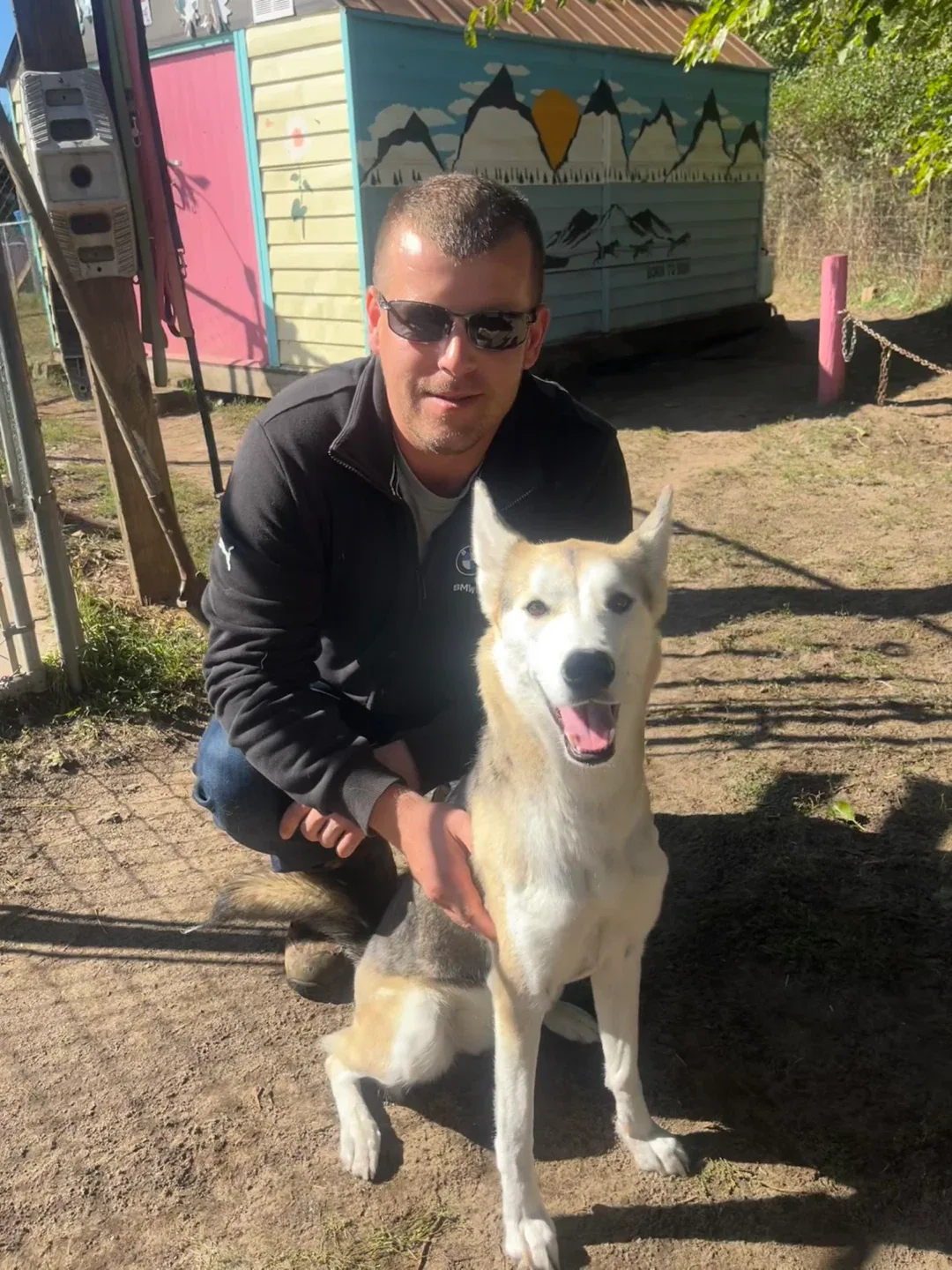 Dog training and sitting image indicator(2)