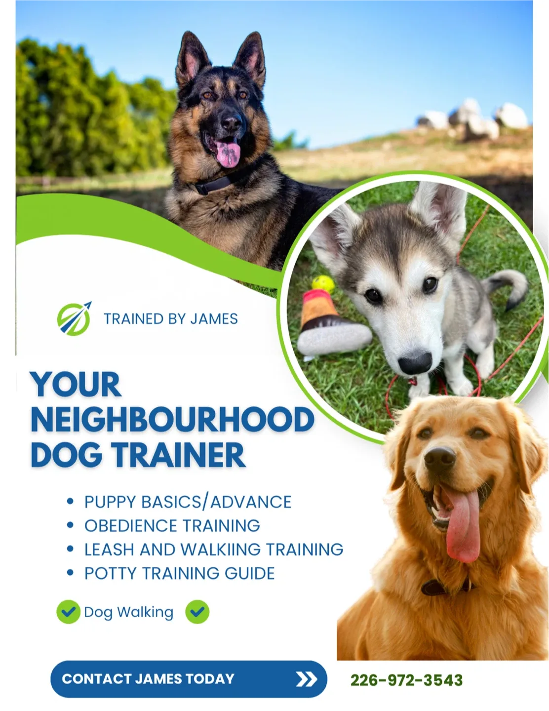 Dog training and sitting