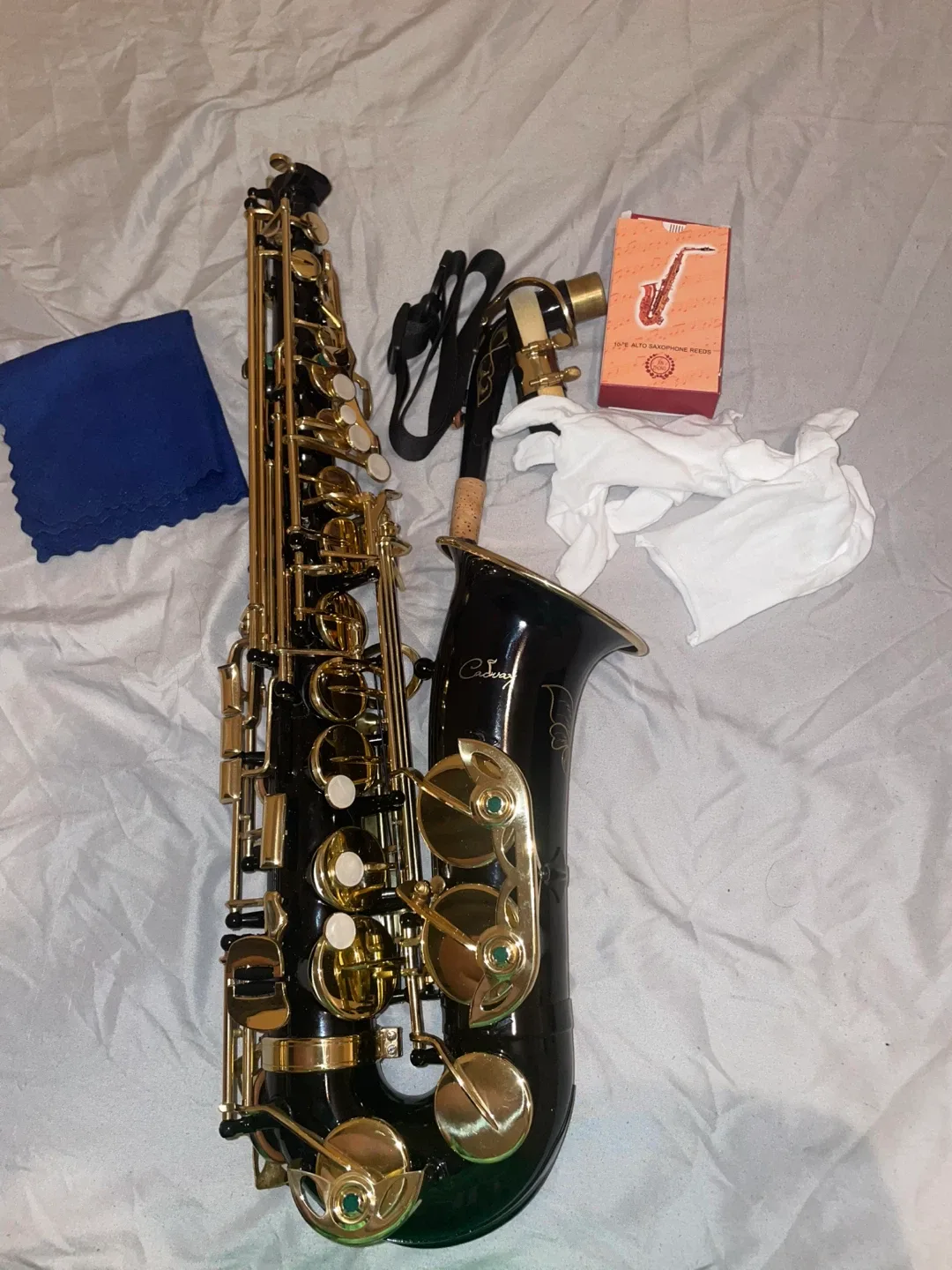 Professional Black & Gold Alto Saxophone