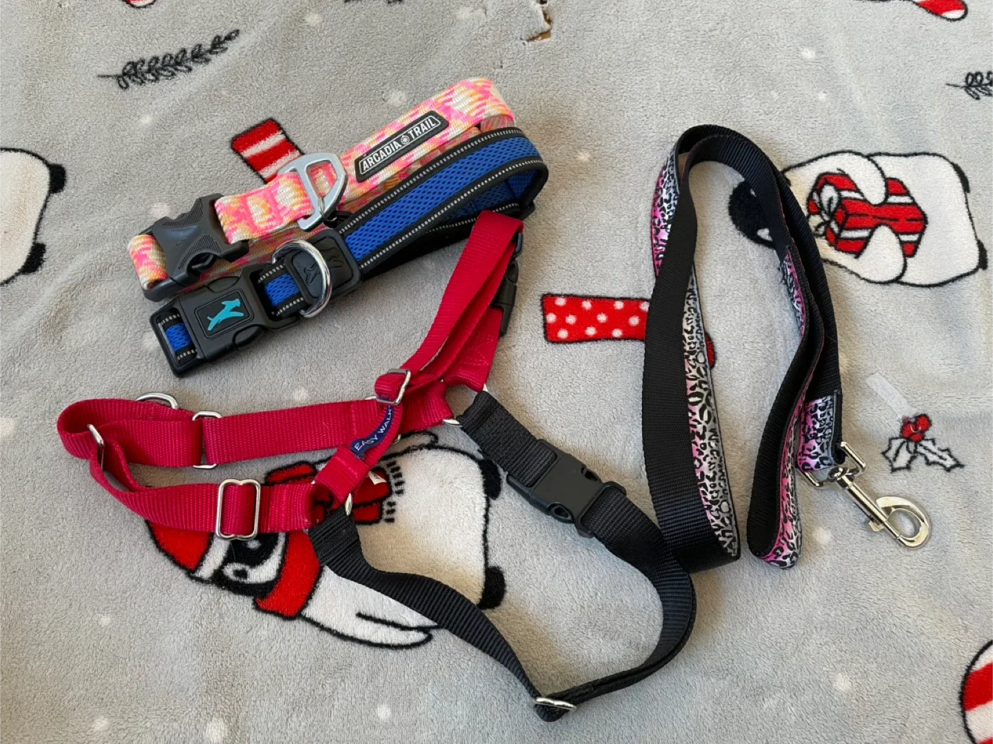 Large Dog Harness, Leash & Collars Lot