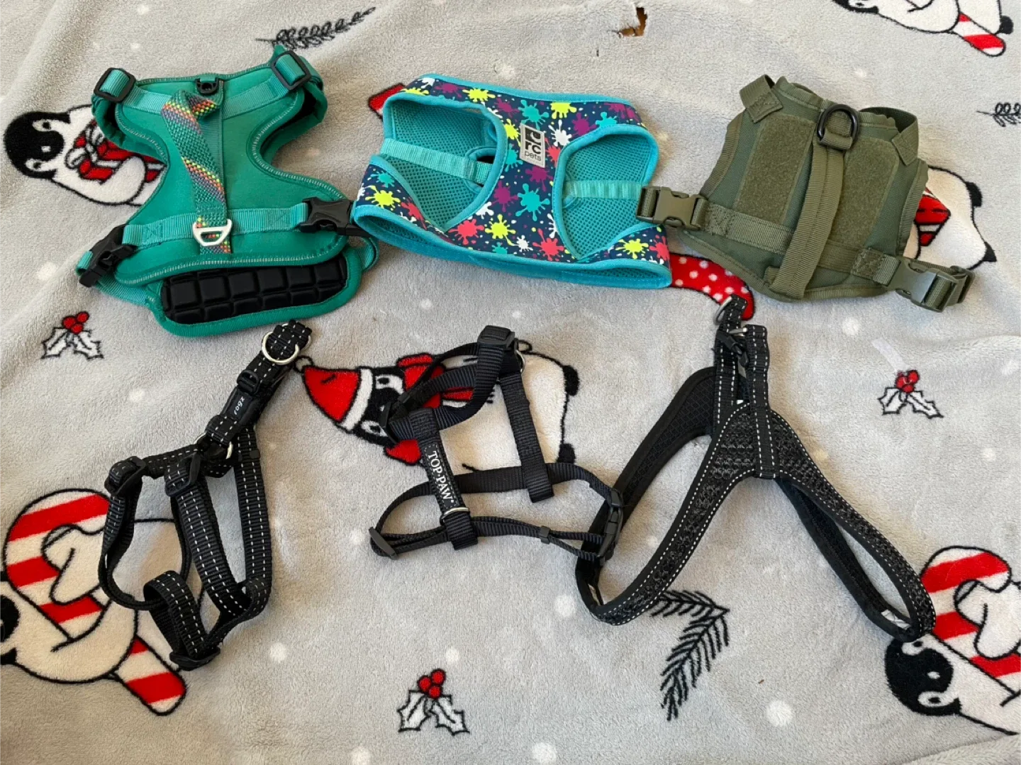 Small Dog Harnesses Lot
