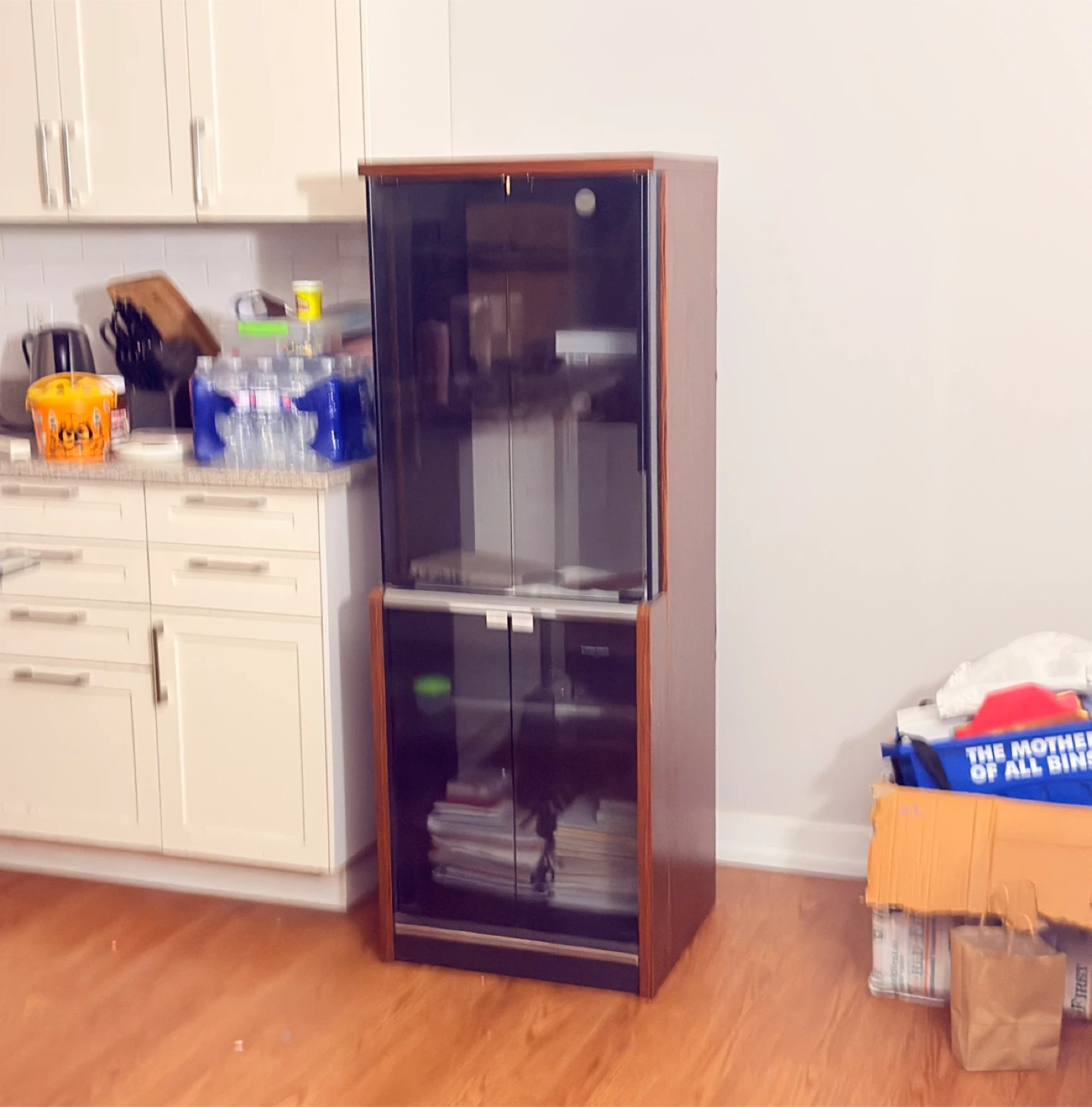 Toshiba Glass Door Display Cabinet - Brown