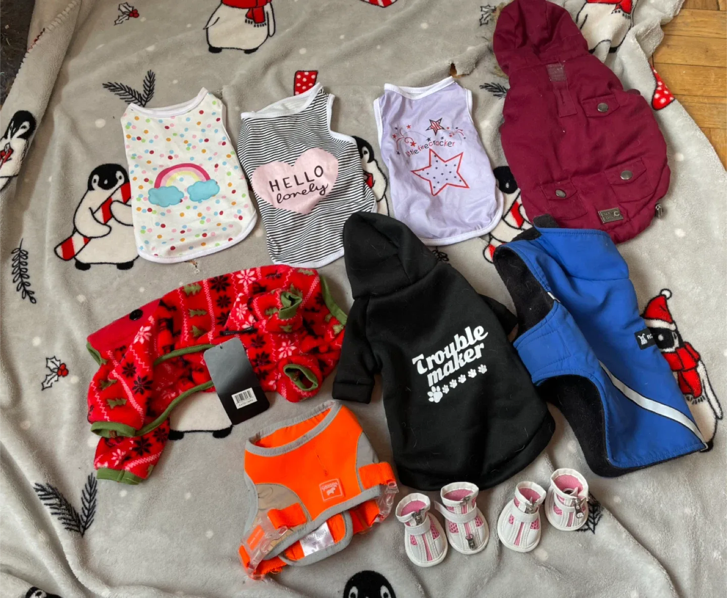 XS 10” Dog Clothes Lot