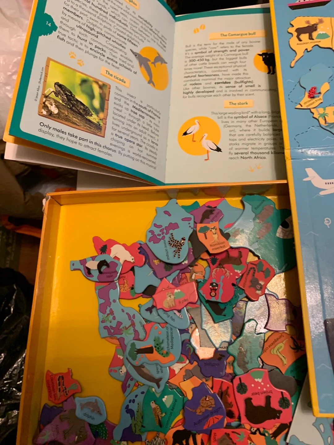 Educational toys-Discovering Animals Around The World Game image indicator(4)