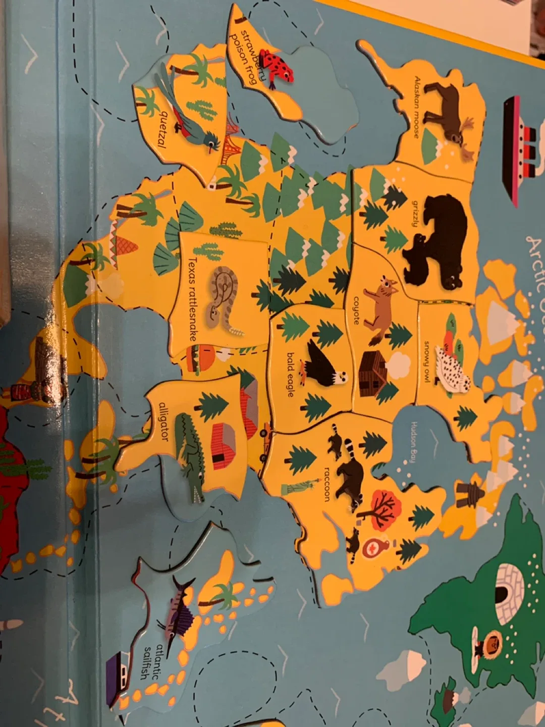 Educational toys-Discovering Animals Around The World Game image indicator(3)