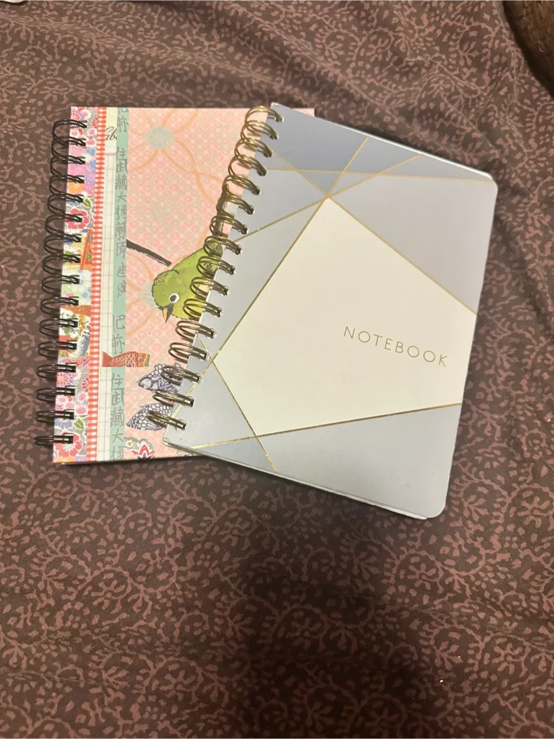 Two Spiral Notebooks