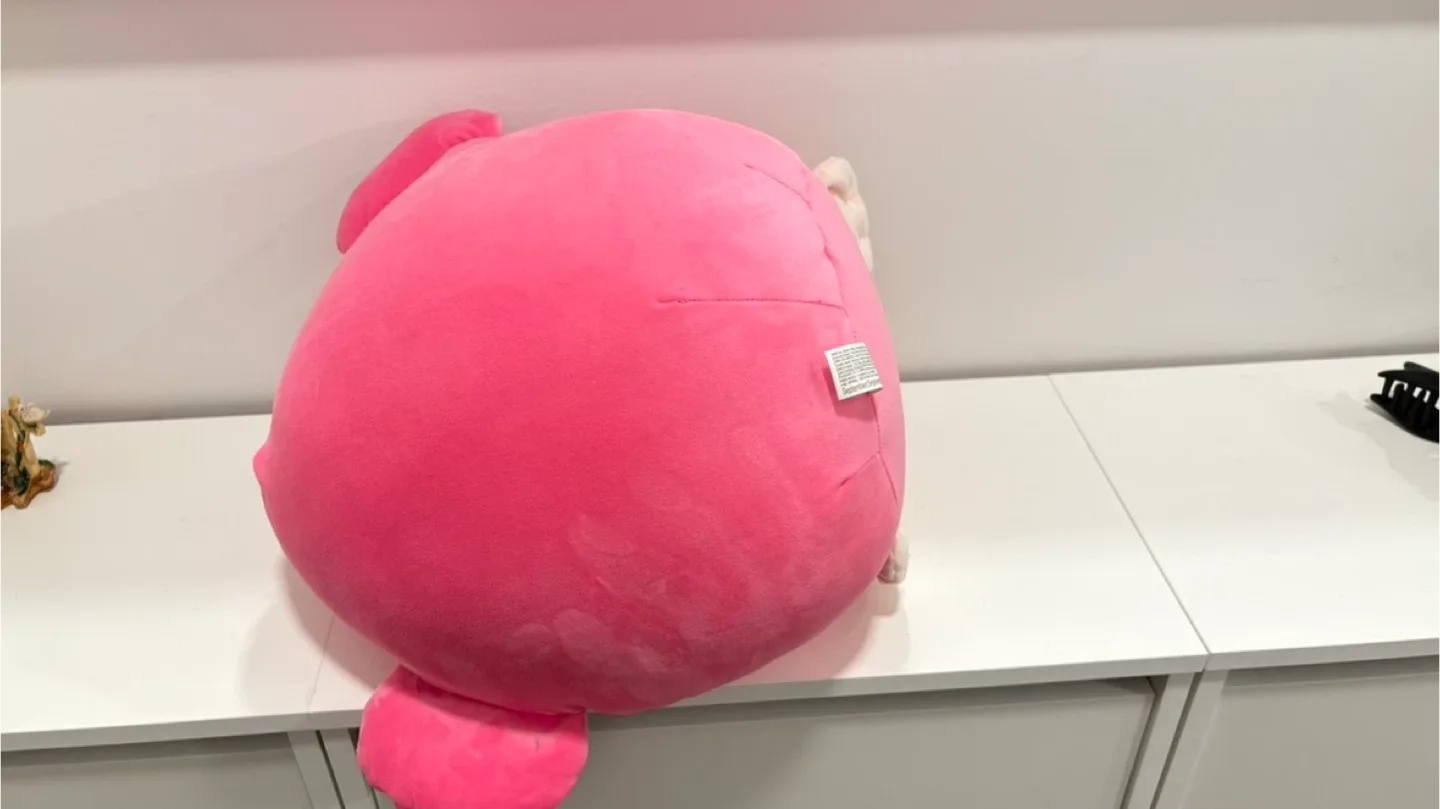 Dole Tropical Gold Monkey Plush Toy image indicator(5)