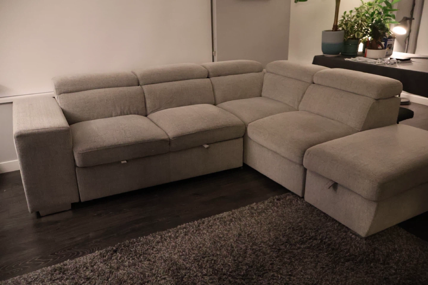 Pamina Sectional Sofa : Pull Out Bed & Storage - photo 2