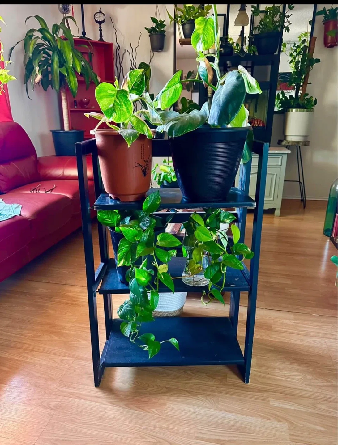 Black Plant Stand