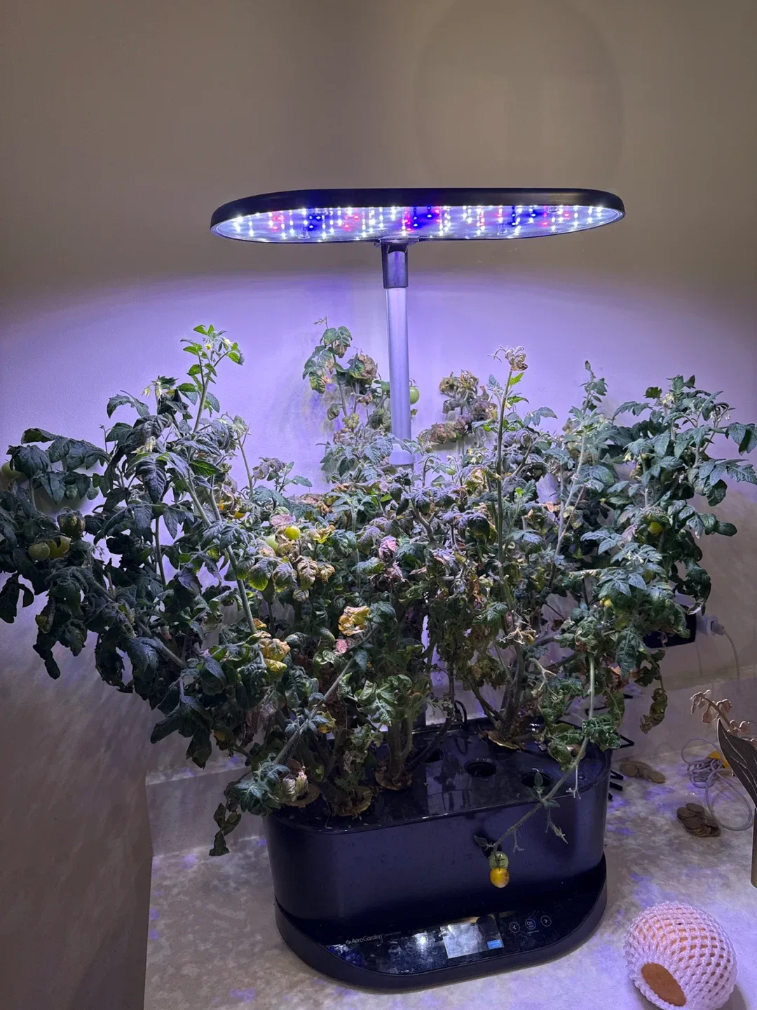 AeroGarden Bounty Basic