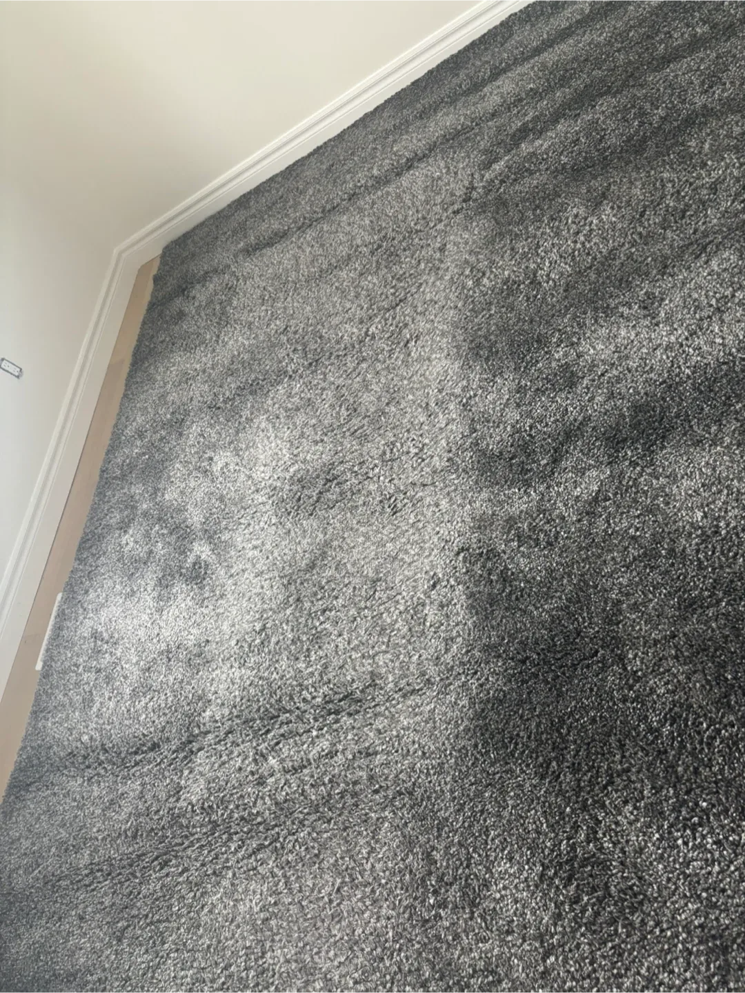 Grey Shag Rug image indicator(4)
