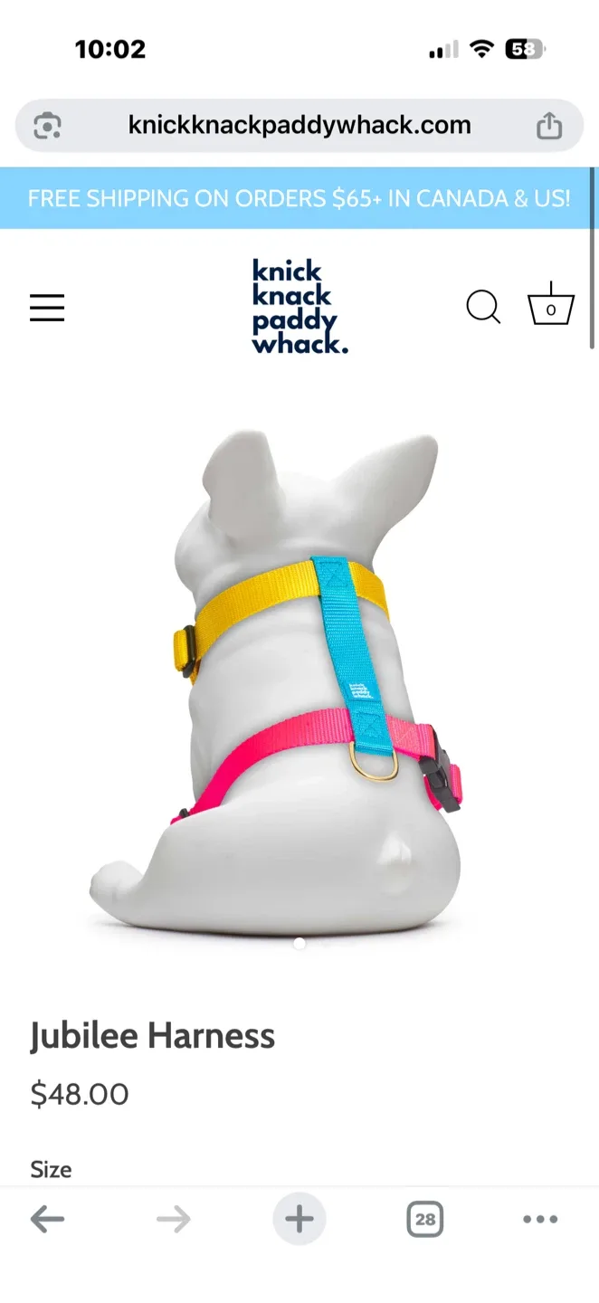 Knick Knack Paddy Whack Jubilee Harness