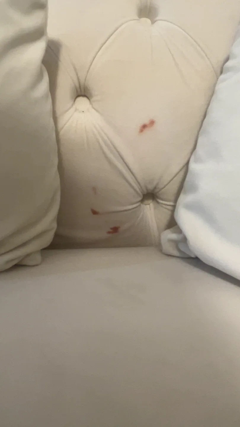 Beige Sofa and love seat with Throw Pillows image indicator(4)