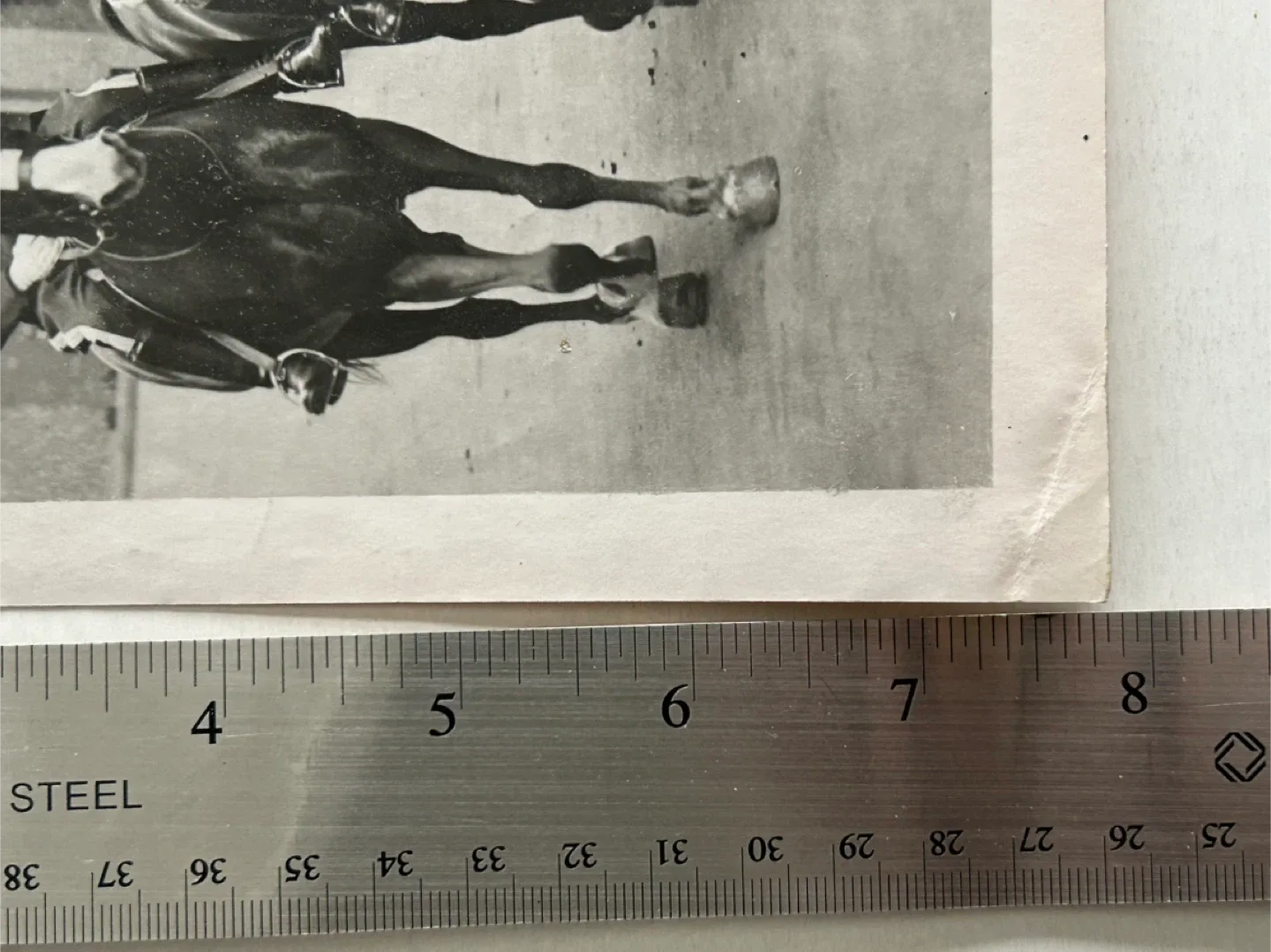 1951 Canada military history GG  vintage press photo horse image indicator(6)