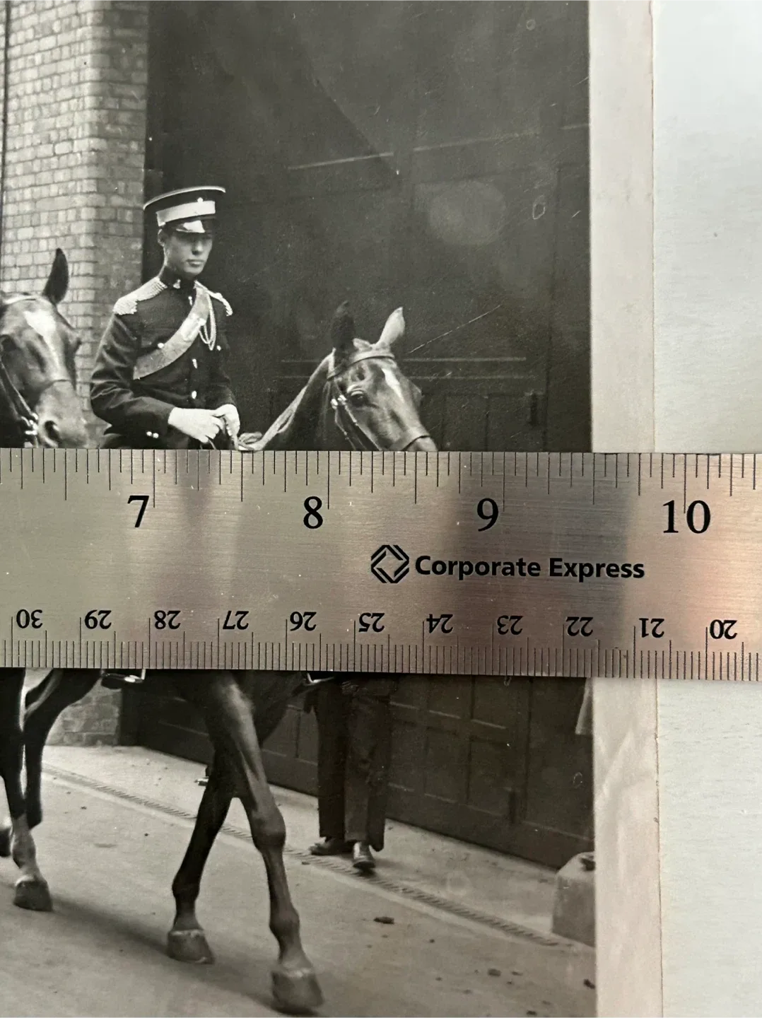 1951 Canada military history GG  vintage press photo horse image indicator(7)