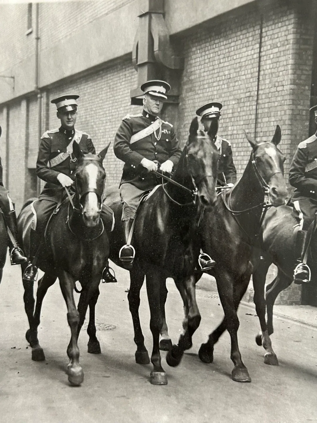 1951 Canada military history GG  vintage press photo horse image indicator(9)