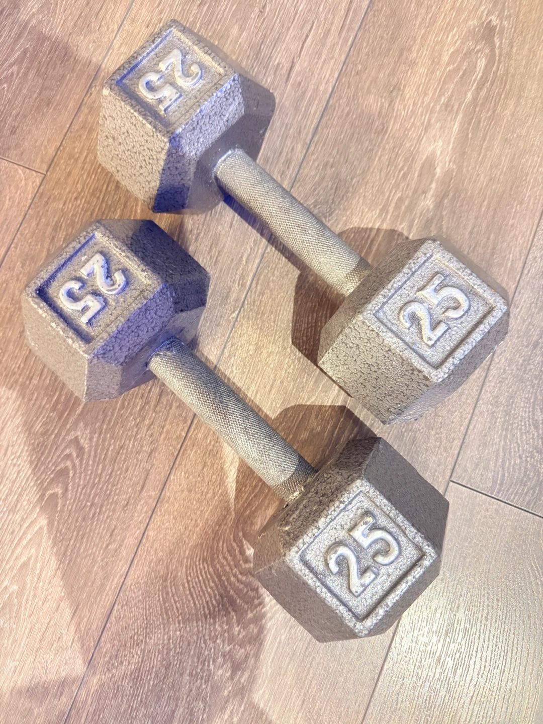 Pair of 25 lb Cast Iron Hex Dumbbells