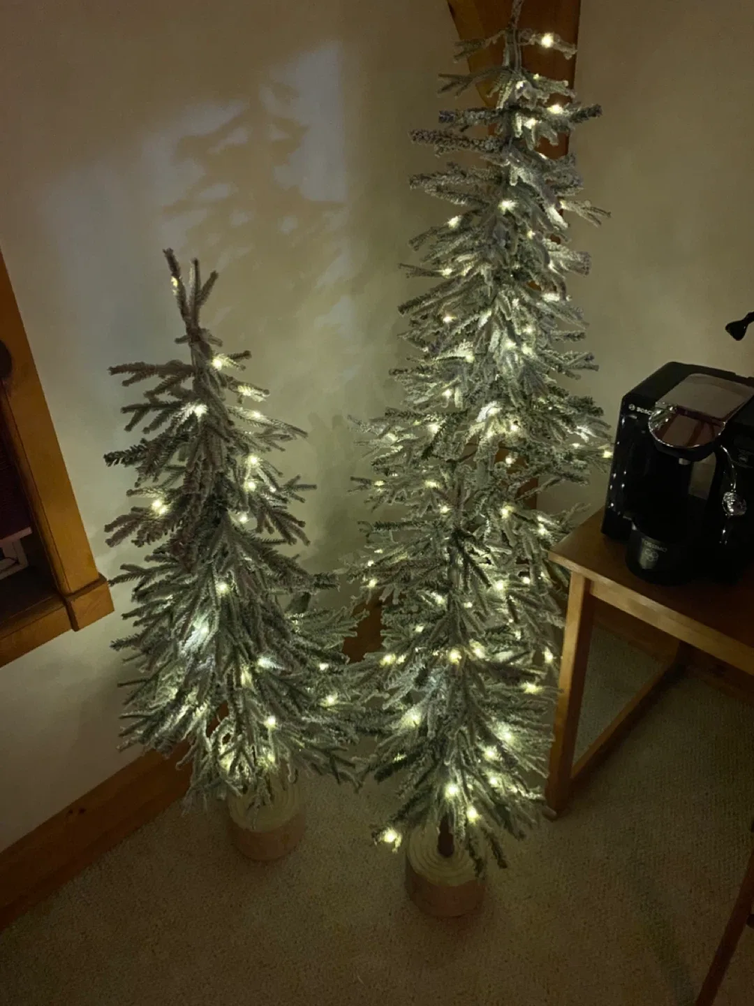 CANVAS Pre-Lit Flocked Downswept Potted Trees, 3-pk