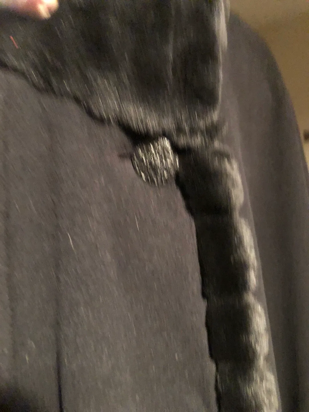 Noveltti for Melanie Lyne Black Cape image indicator(3)