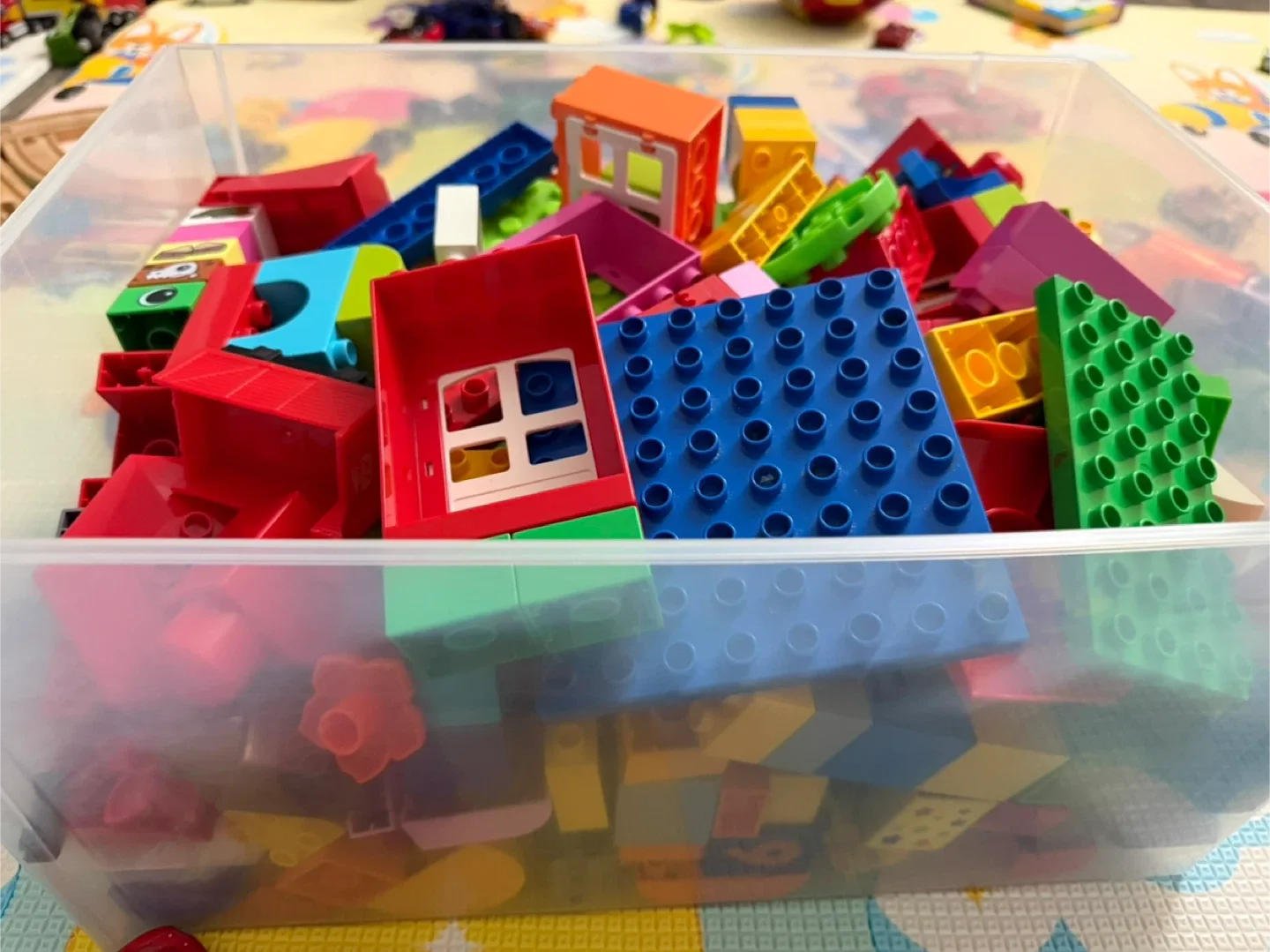 LEGO DUPLO Bricks - Colorful Set
