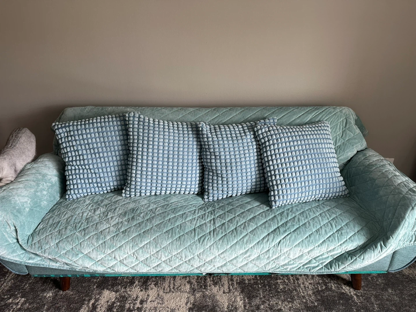 Light Green Futon Sofa