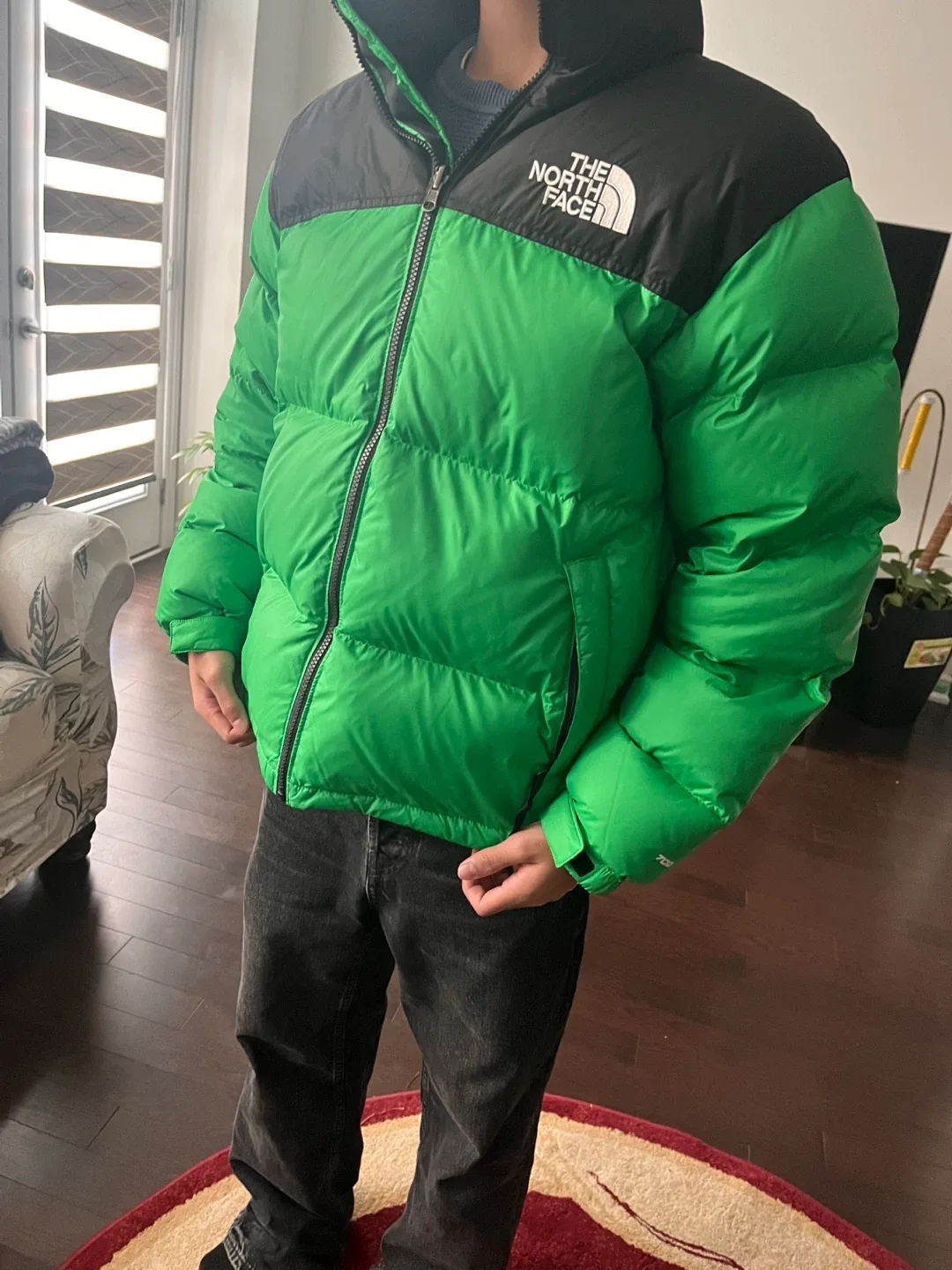 The North Face Puffer Jacket - Green & Black image indicator(3)