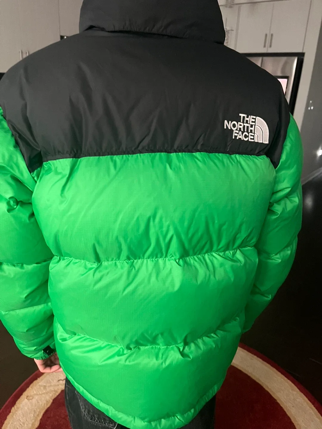 The North Face Puffer Jacket - Green & Black image indicator(5)