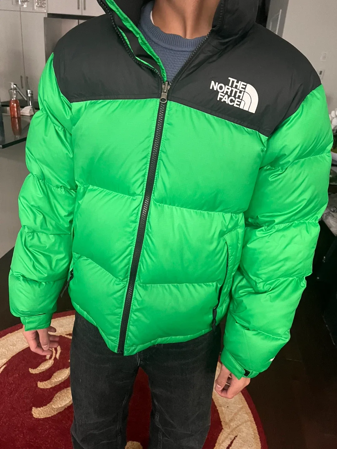 The North Face Puffer Jacket - Green & Black image indicator(4)