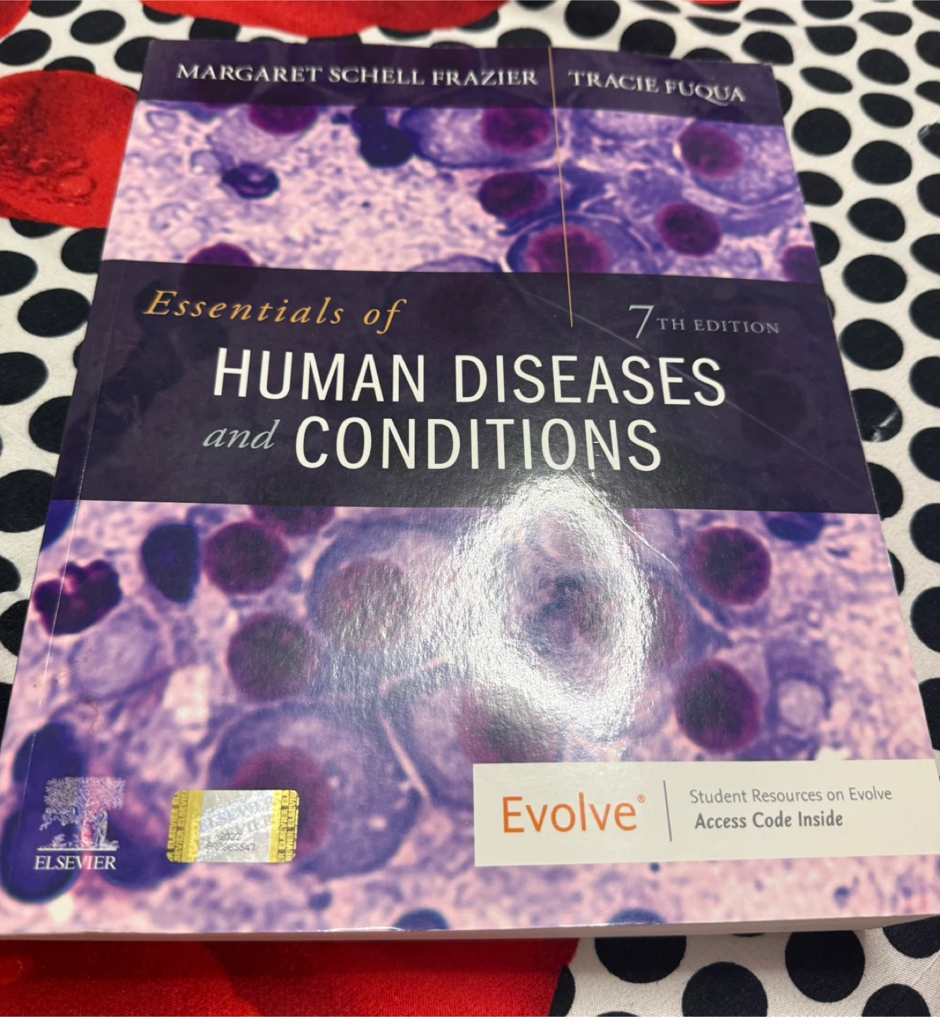 Essentials of Human Diseases & Conditions 7th Edition
