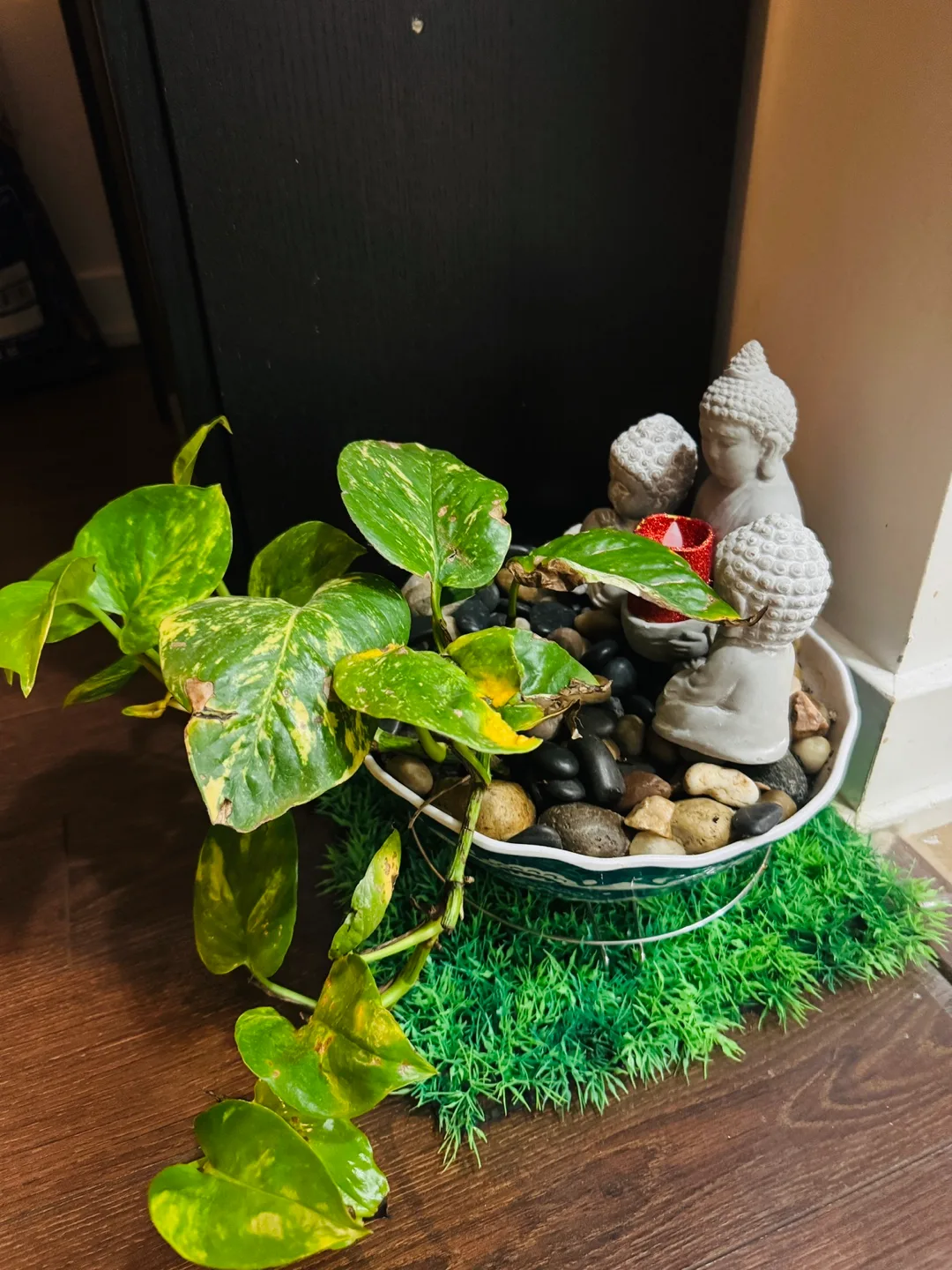 Potted Golden Pothos Plant with Buddha Statues