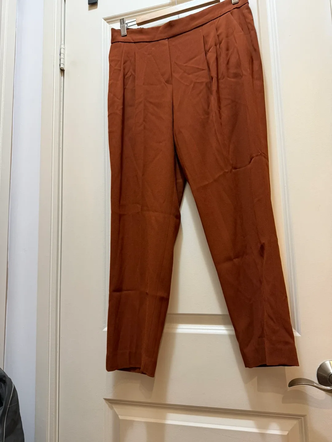 Aritzia (Babaton) Ankle  Pants