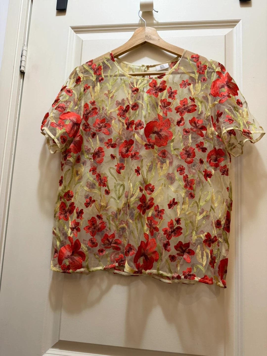 Little Moon (Aritzia) Floral Embroidered Top