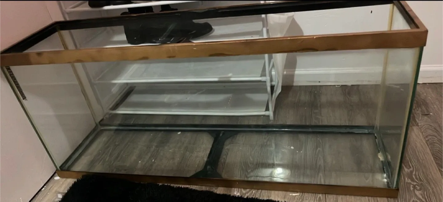 Used Glass Fish Tank